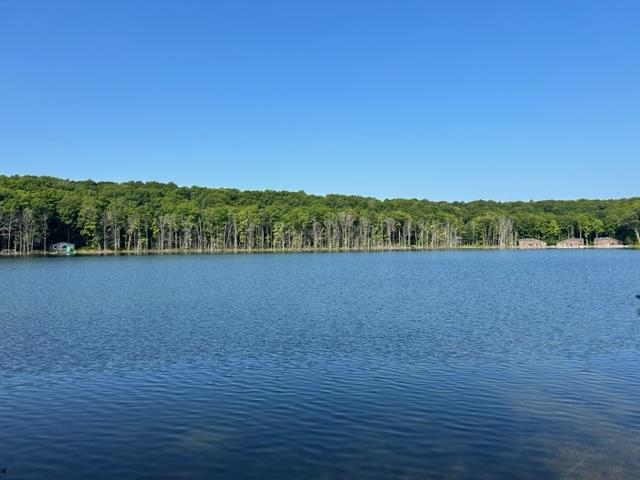 5376 E Martin Lake Road Gaylord MI 49735