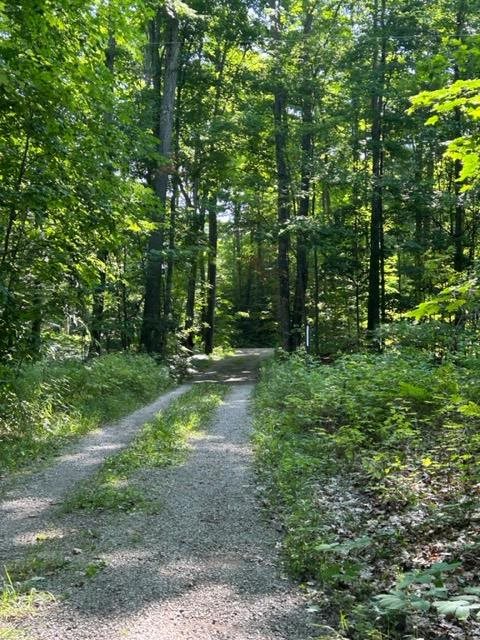 5376 E Martin Lake Road Gaylord MI 49735