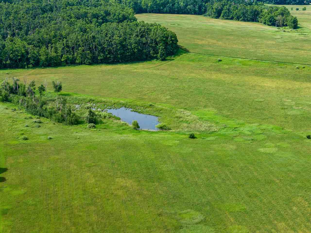 3239 & 3379 Lake Grove Road Petoskey MI 49770