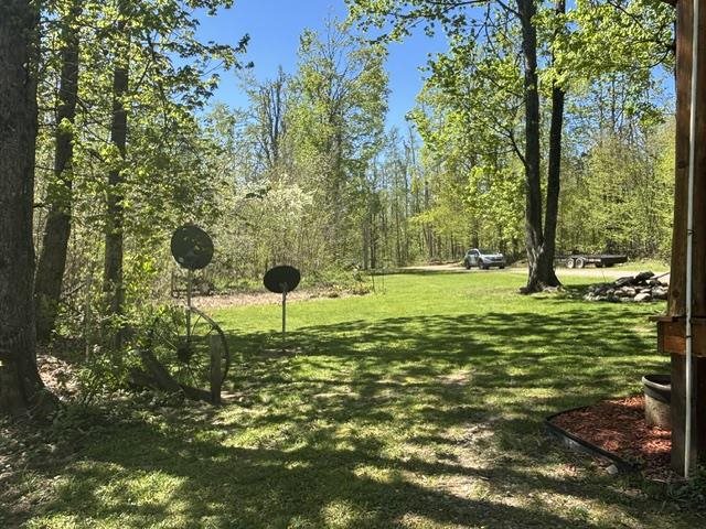 930 Northland Trail Vanderbilt MI 49795