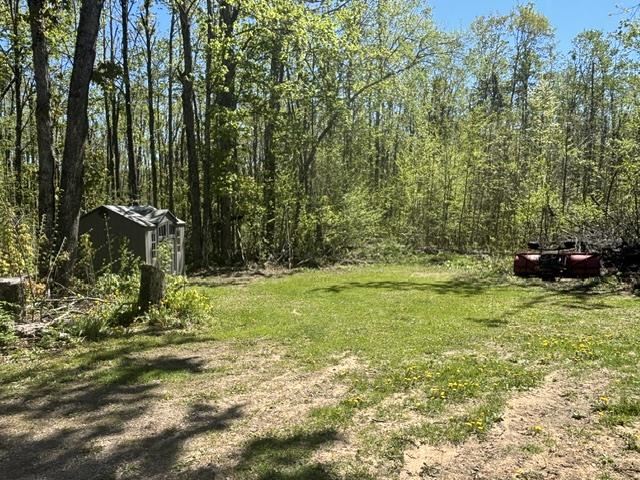 930 Northland Trail Vanderbilt MI 49795