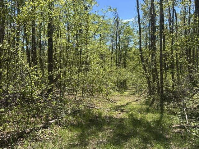 930 Northland Trail Vanderbilt MI 49795