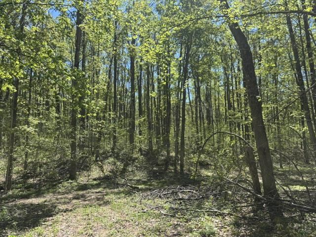930 Northland Trail Vanderbilt MI 49795
