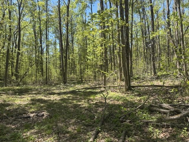 930 Northland Trail Vanderbilt MI 49795