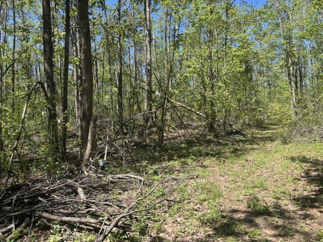 930 Northland Trail Vanderbilt MI 49795