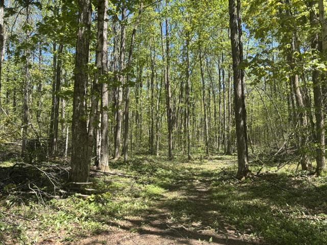 930 Northland Trail Vanderbilt MI 49795