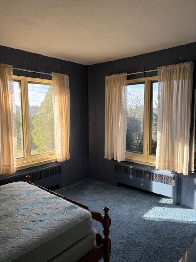 250 Lincoln Place Petoskey MI 49770