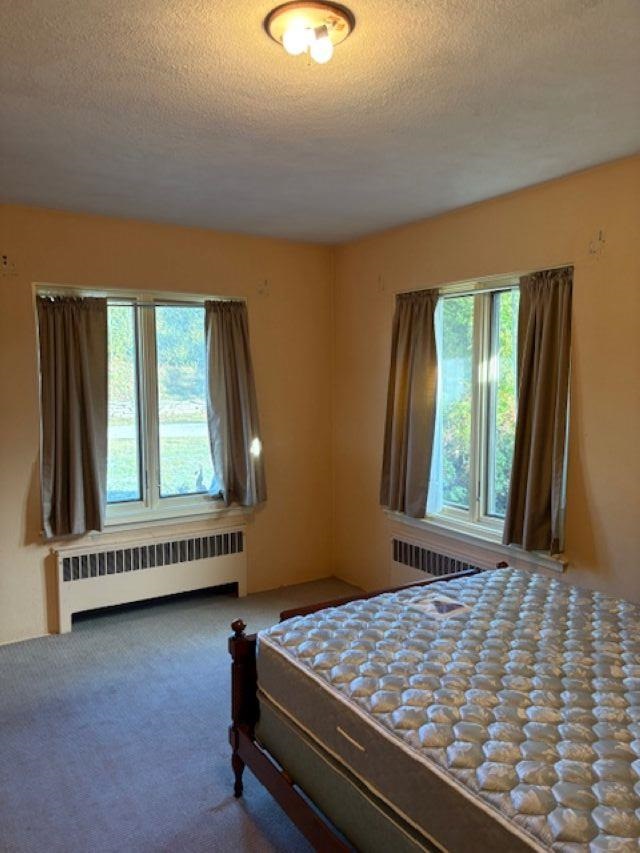 250 Lincoln Place Petoskey MI 49770