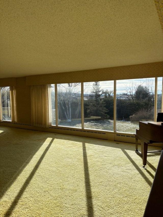 250 Lincoln Place Petoskey MI 49770