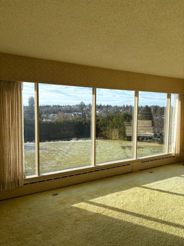 250 Lincoln Place Petoskey MI 49770