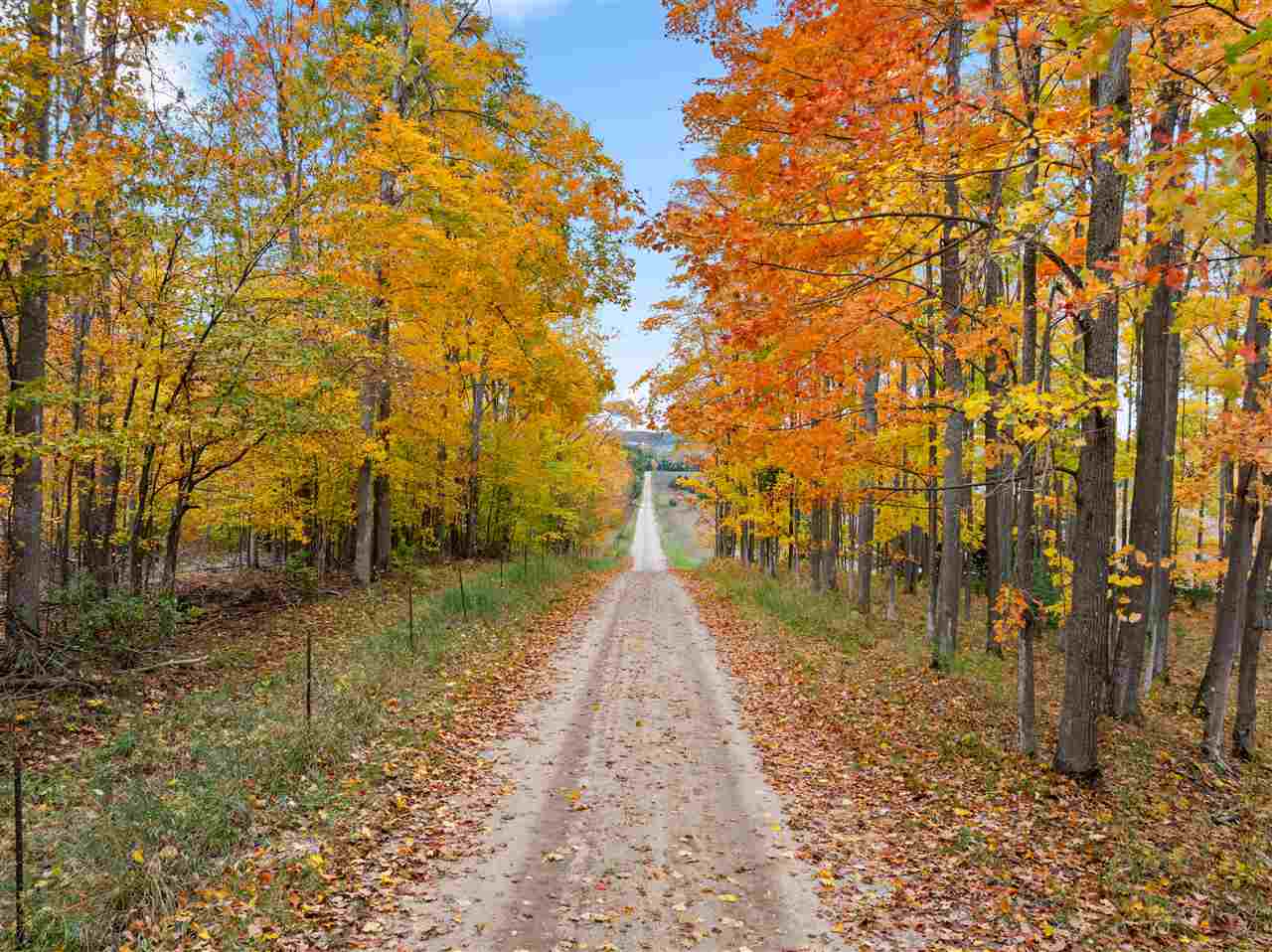 3751 Goslow Road Gaylord MI 49735