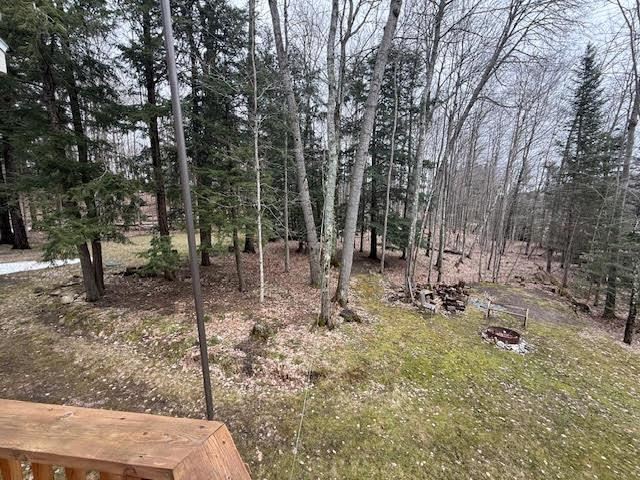 1075 Forest Ridge Trail Charlevoix MI 49720