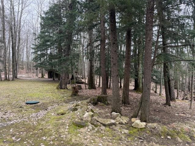 1075 Forest Ridge Trail Charlevoix MI 49720