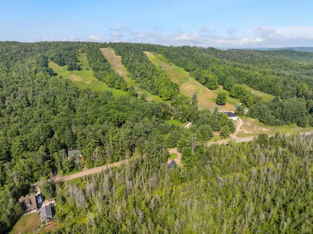 2166 Springbrook Road Boyne Falls MI 49713