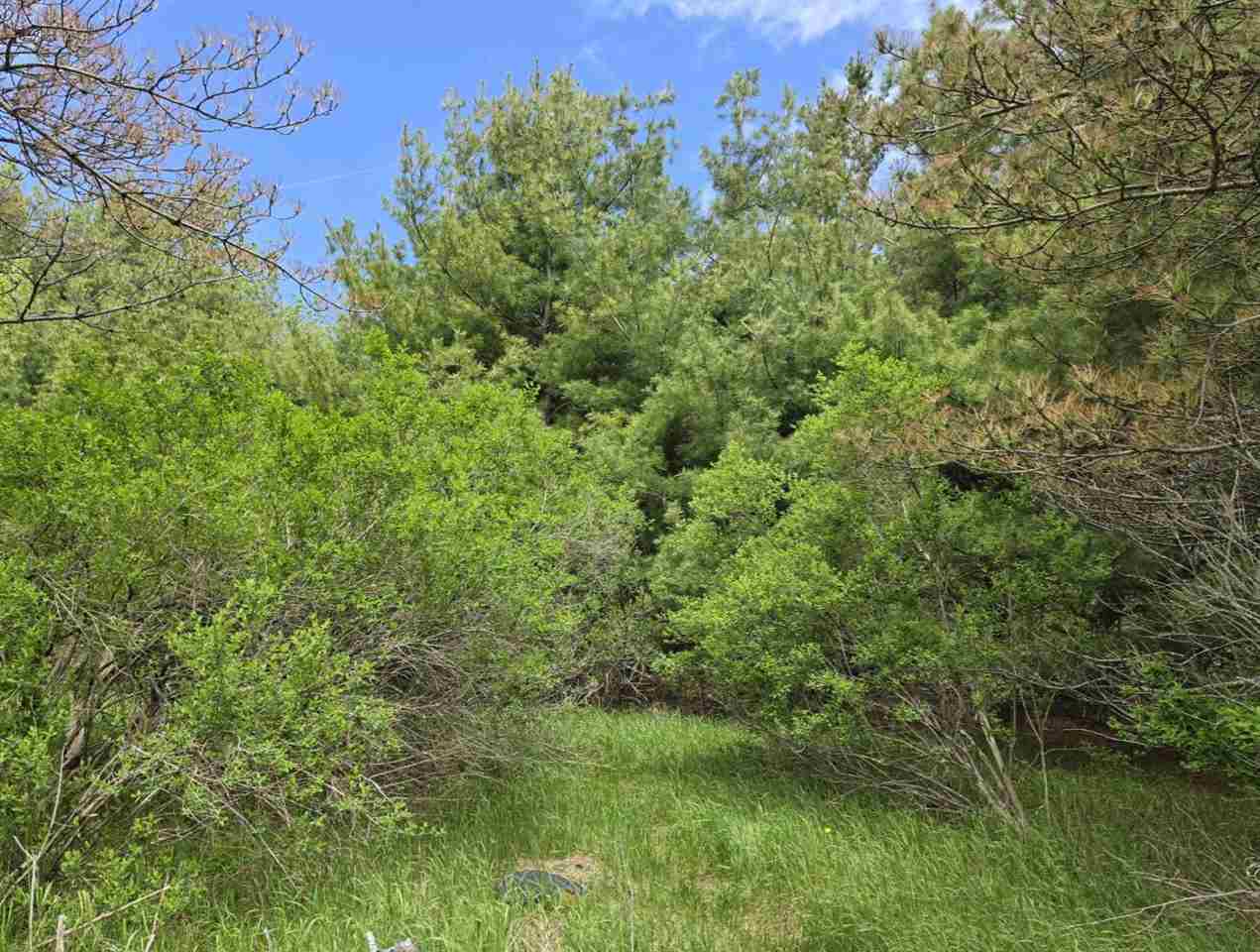 1934 E Mitchell Road Petoskey MI 49770