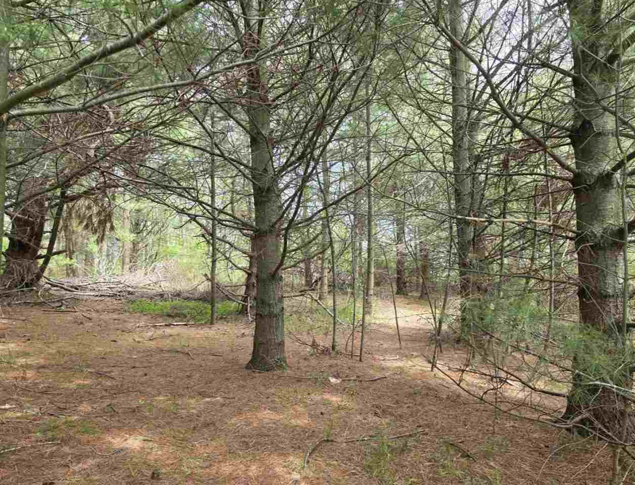 1934 E Mitchell Road Petoskey MI 49770