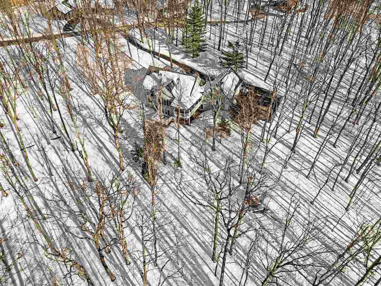 1838 Bluff's Edge Harbor Springs MI 49740