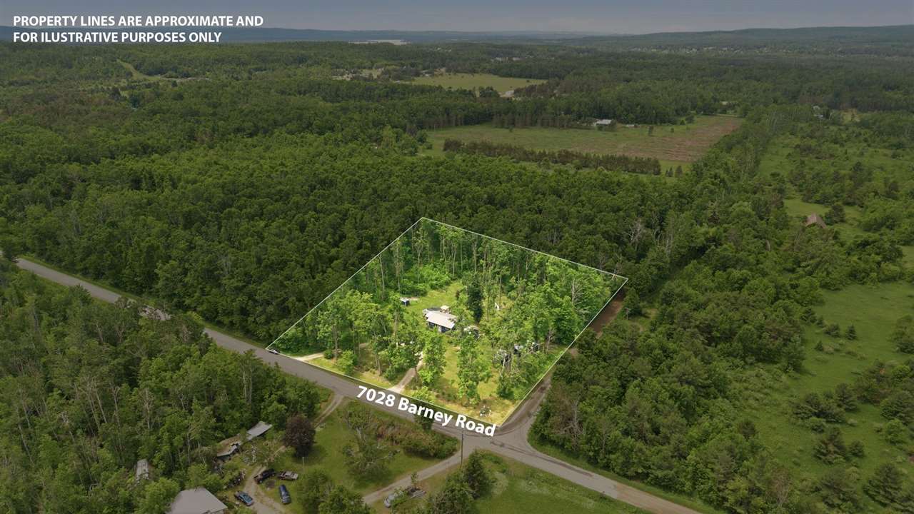 7028 Barney Road Alanson MI 49706