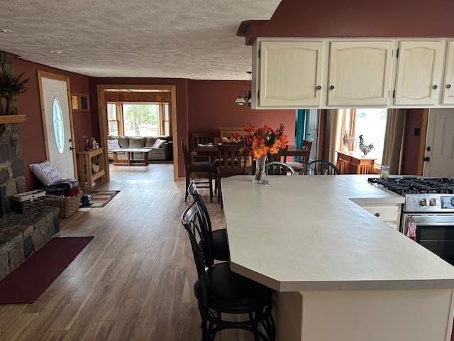 8118 E Mitchell Street Petoskey MI 49770