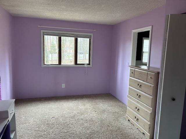 8118 E Mitchell Street Petoskey MI 49770