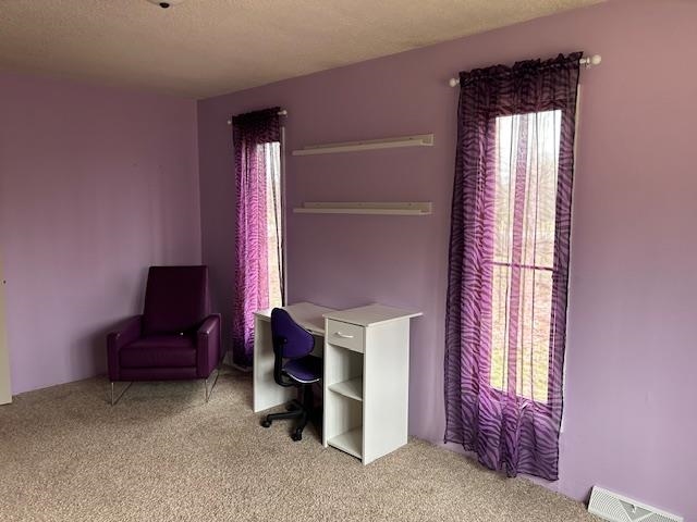 8118 E Mitchell Street Petoskey MI 49770