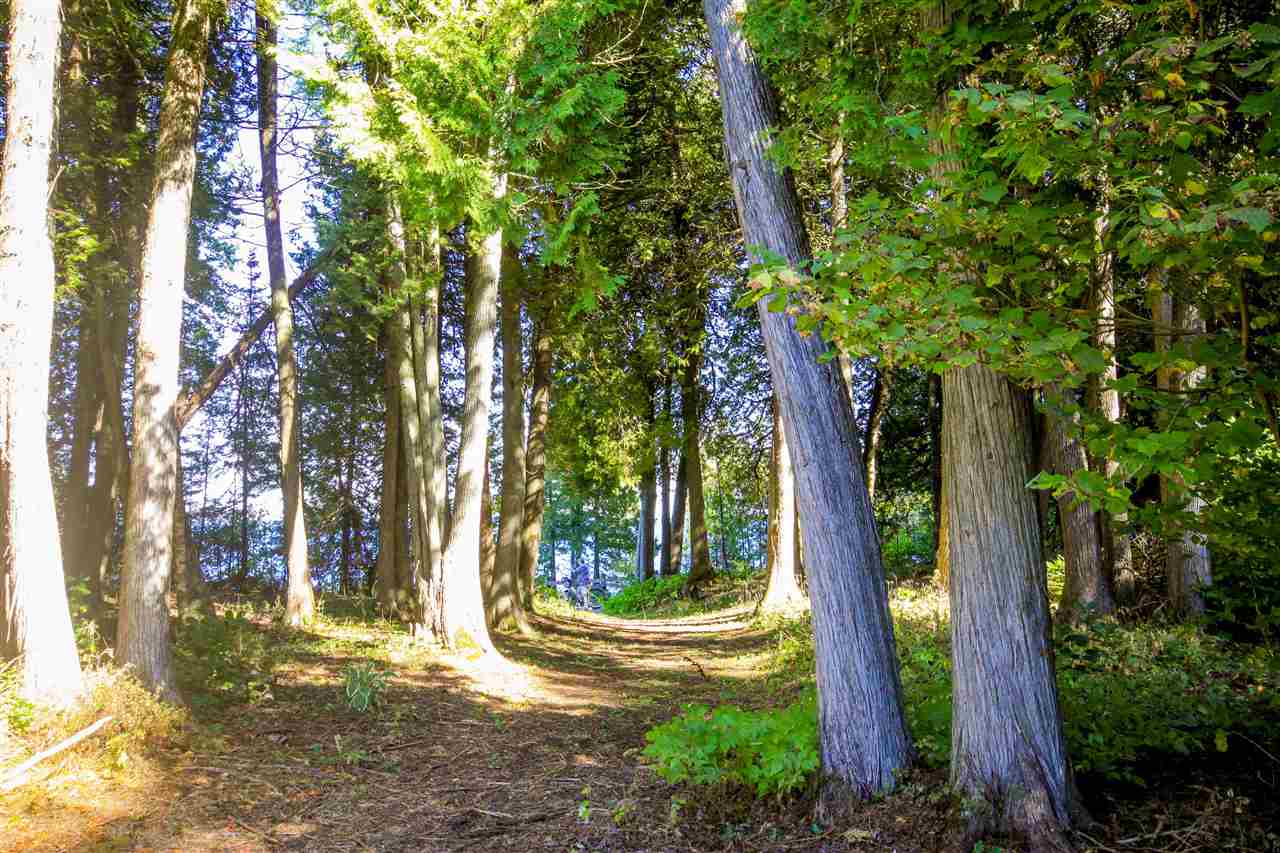 3858 & 84 M 185 Mackinac Island MI 49757