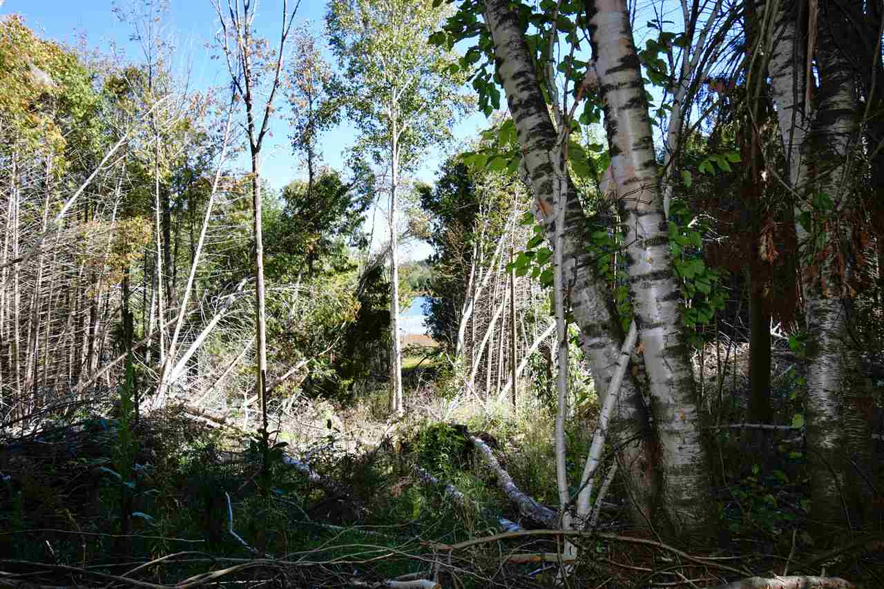 4012 Loeb Road Charlevoix MI 49720