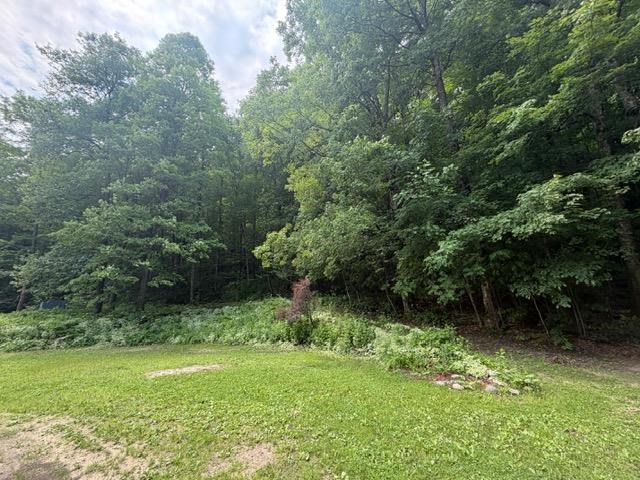 2272 S M-66 Highway Mancelona MI 49659