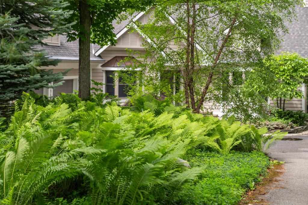 4850 Turfway Trial Harbor Springs MI 49740