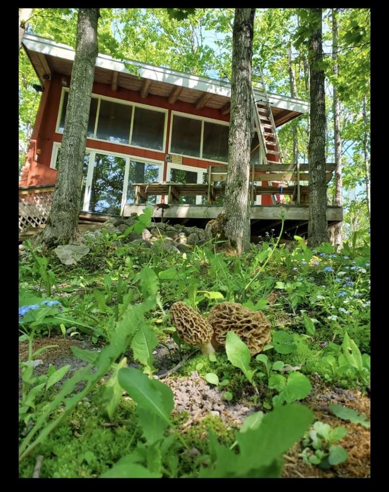 850 Magee Road Boyne Falls MI 49713