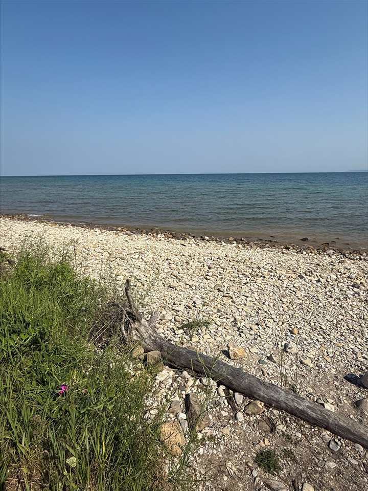 6073 Rocky Beach Avenue Charlevoix MI 49720