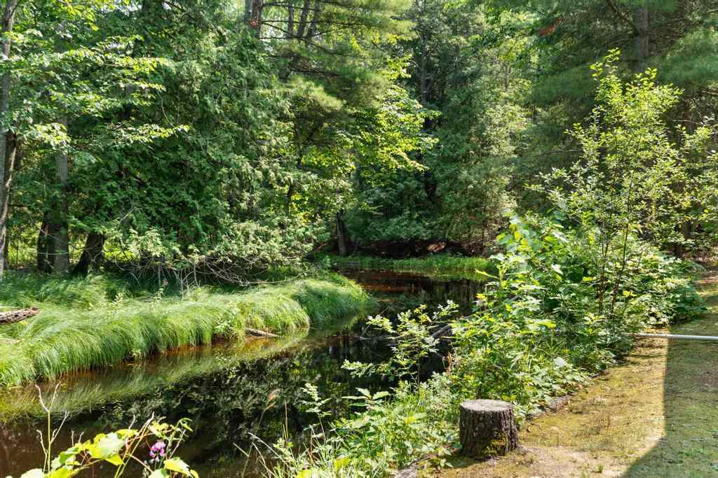 4317 County Road 489 Onaway MI 49765