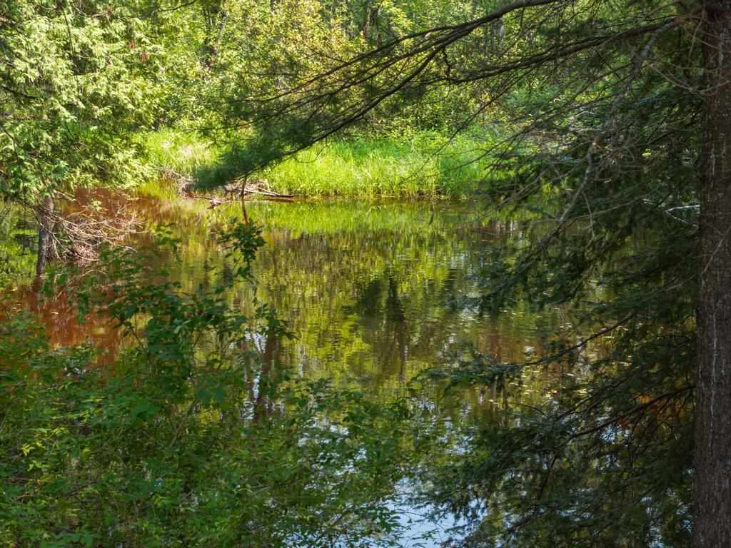 4317 County Road 489 Onaway MI 49765