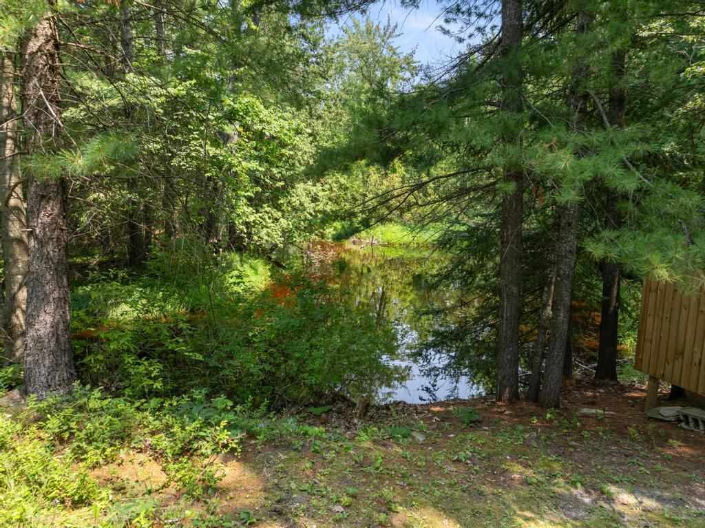 4317 County Road 489 Onaway MI 49765