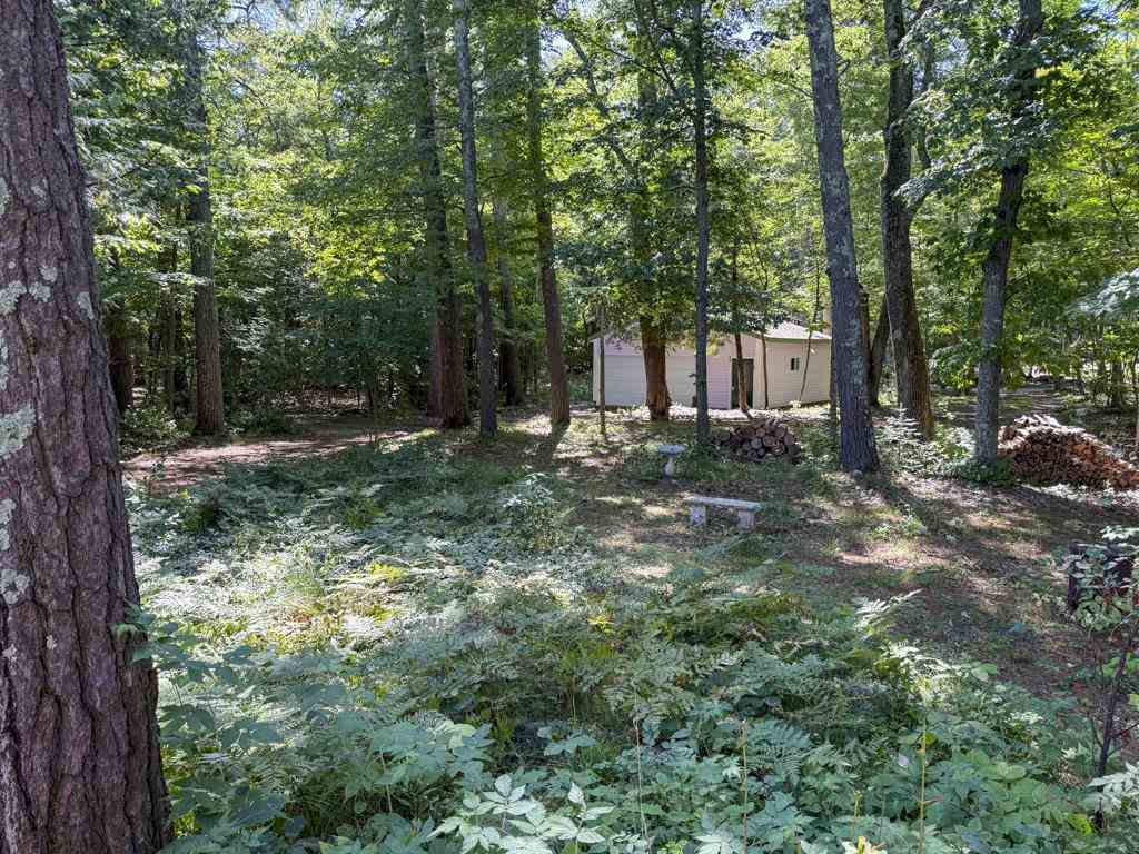 25895 Pine Street Beaver Island MI 49782