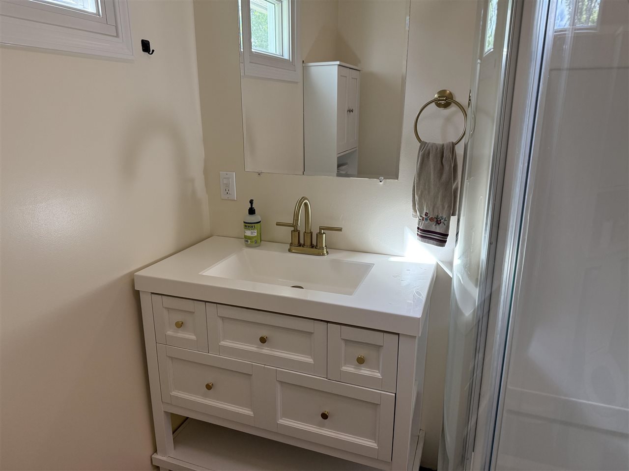 6835 Elmwood Street Indian River MI 49749