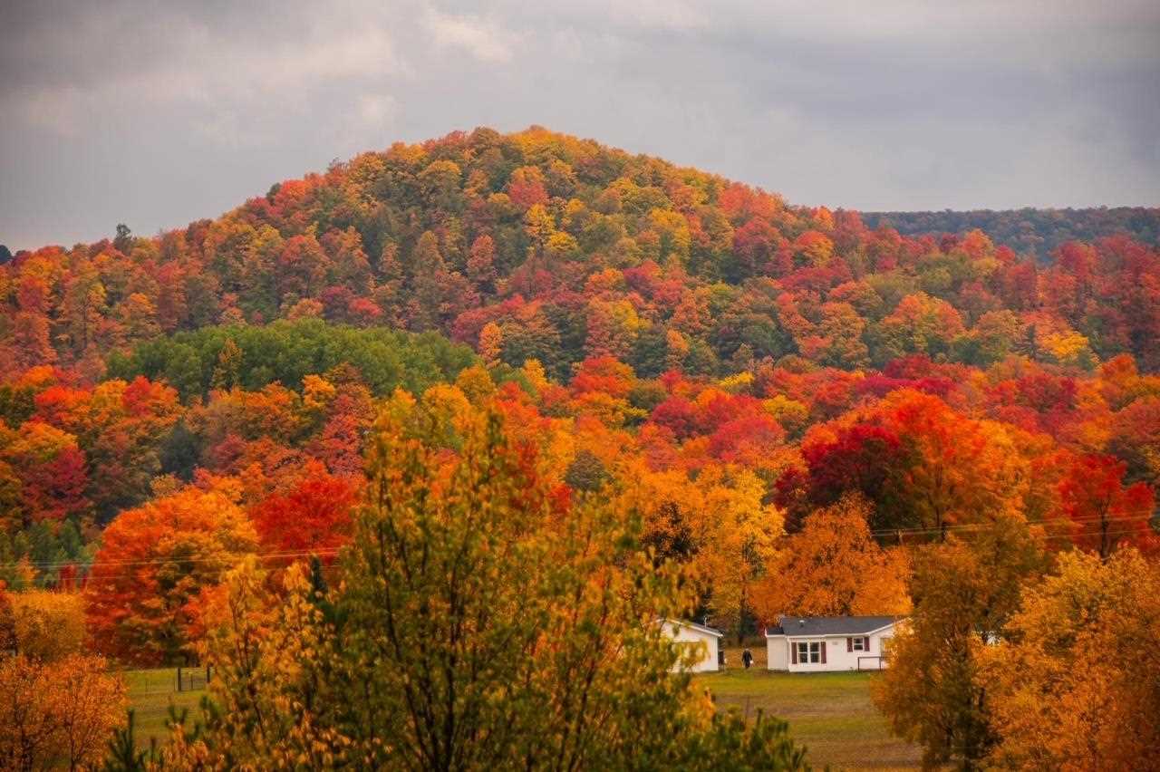 1525 S Springbrook Road Boyne Falls MI 49713