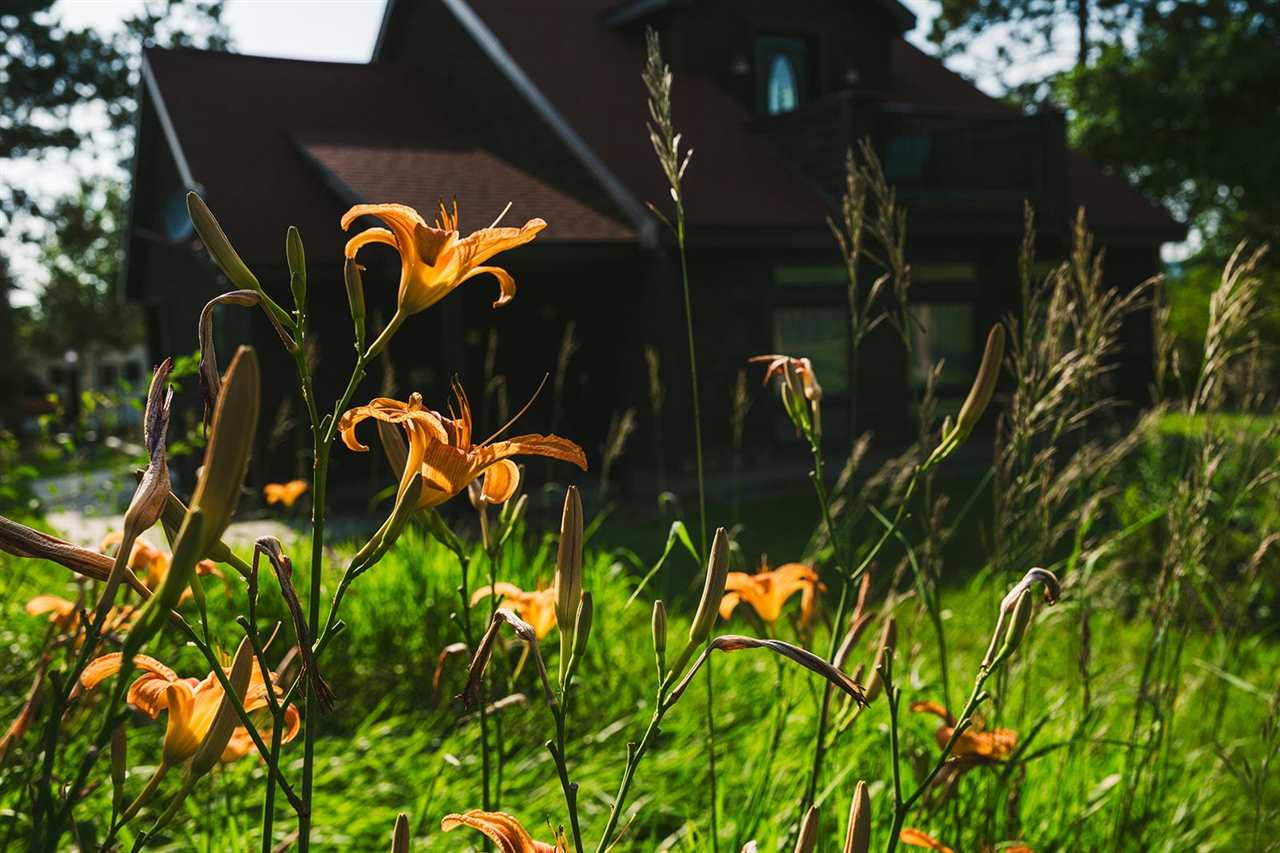 1525 S Springbrook Road Boyne Falls MI 49713