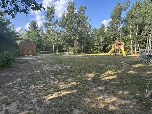 6725 Tremble Trail Pellston MI 49769