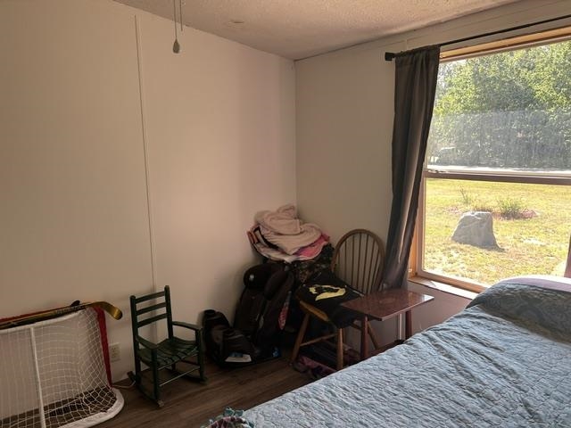 6725 Tremble Trail Pellston MI 49769