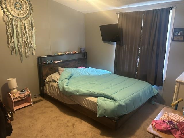 6725 Tremble Trail Pellston MI 49769