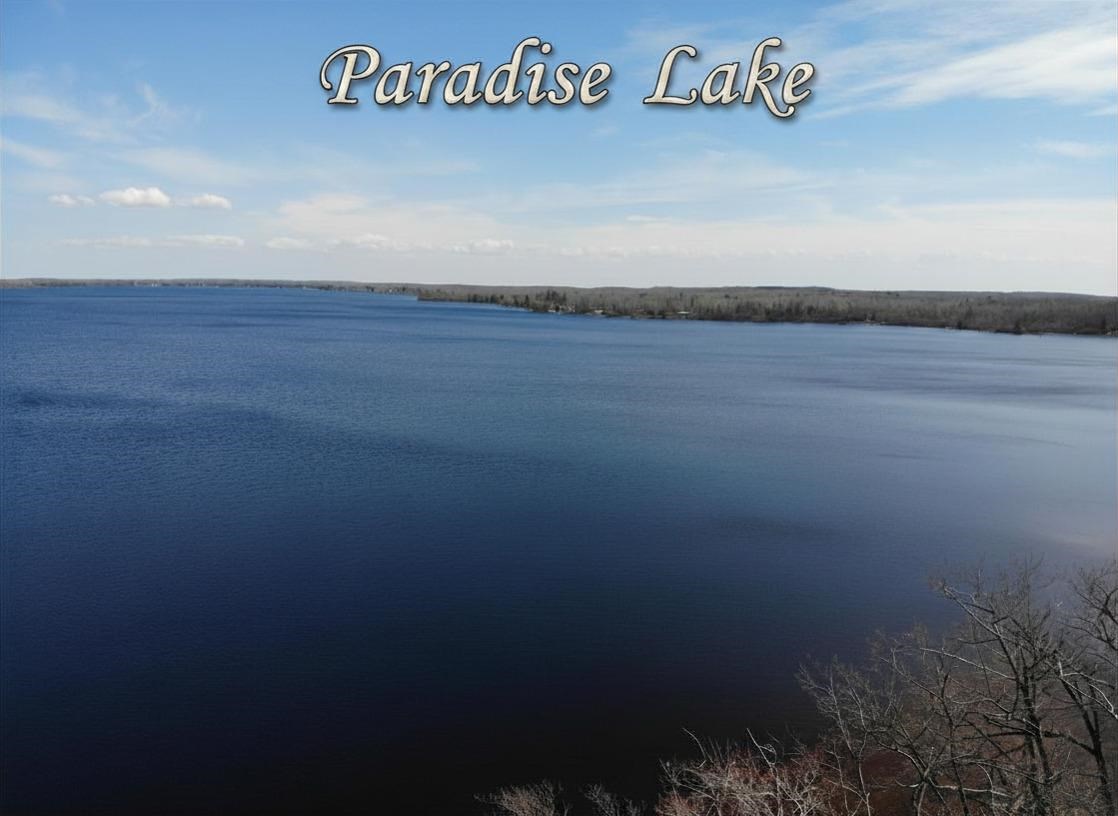 6398 Paradise Trail Carp Lake MI 49718