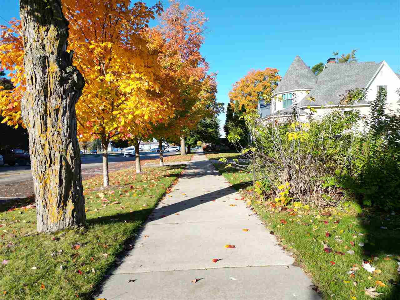 223 River Street Boyne City MI 49712