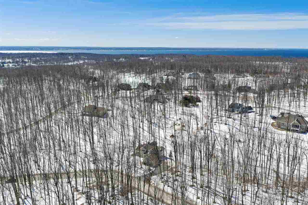 4563 Stoney Hill Court Harbor Springs MI 49740