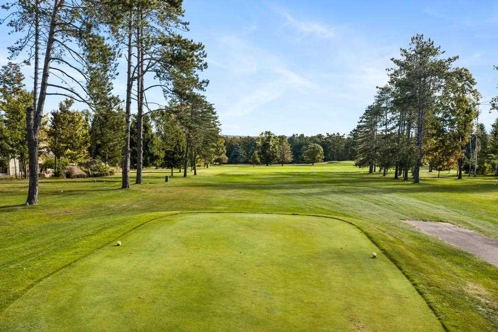 2419 Greenbriar Harbor Springs MI 49740