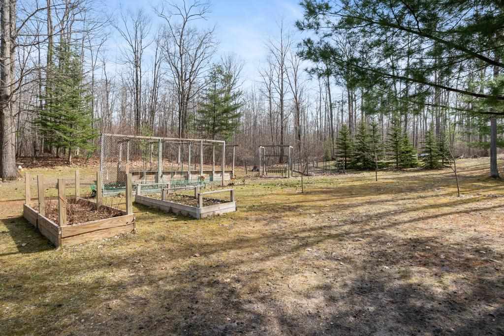 2929 E Mullett Lake Road Indian River MI 49749