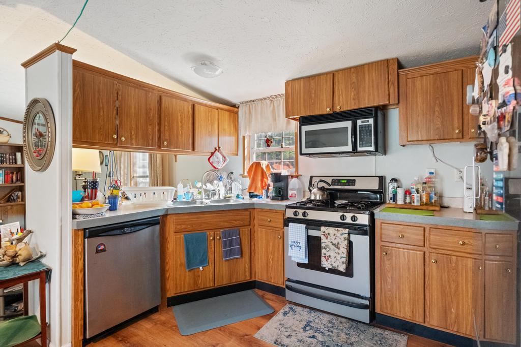 2929 E Mullett Lake Road Indian River MI 49749