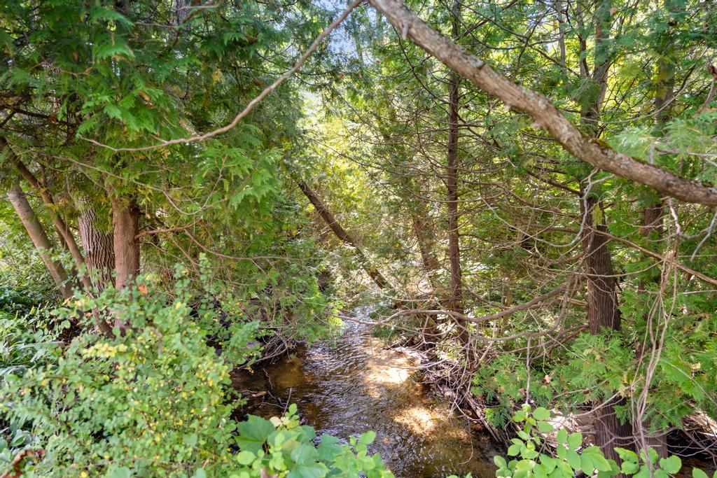 00974 N Advance Road Boyne City MI 49712