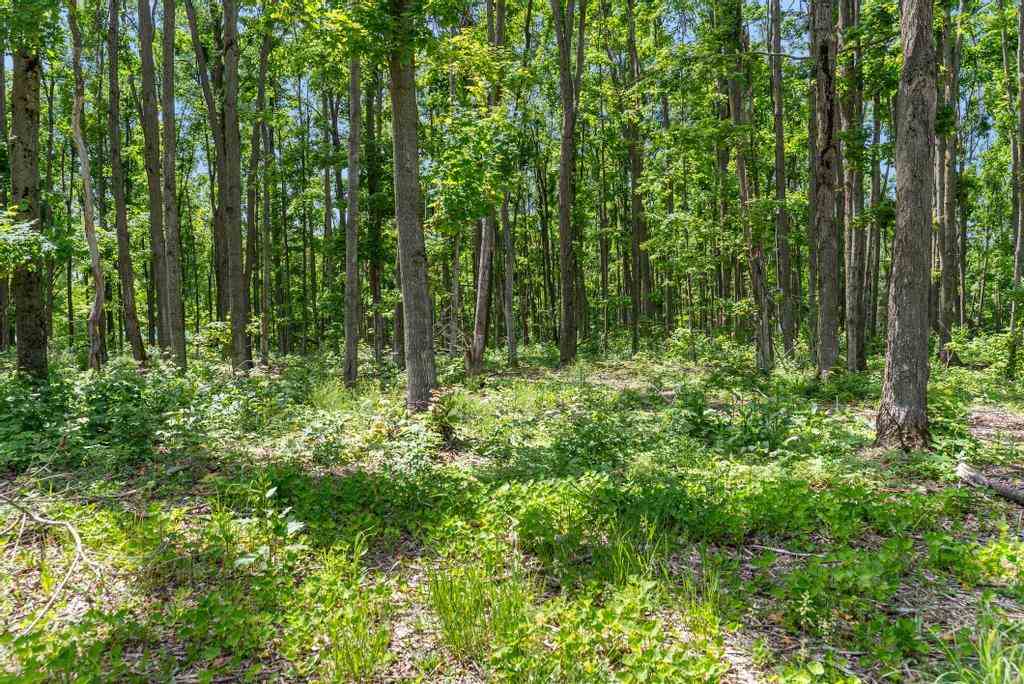 50 Camp Ten Road Gaylord MI 49735
