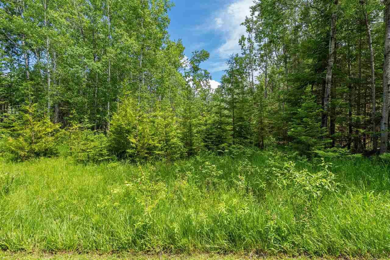 3918 Powell Road Harbor Springs MI 49740